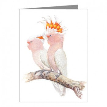 Blank Card, Pink Cockatoo