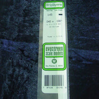 Evergreen Strip 145 0.040 x 0.100 x 14" (10)