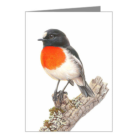 Blank Card, Scarlet Robin